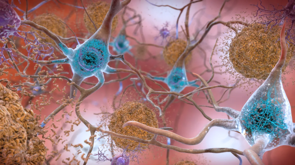 Alzheimer için tasarlanan peptid insanda doğal olarak var