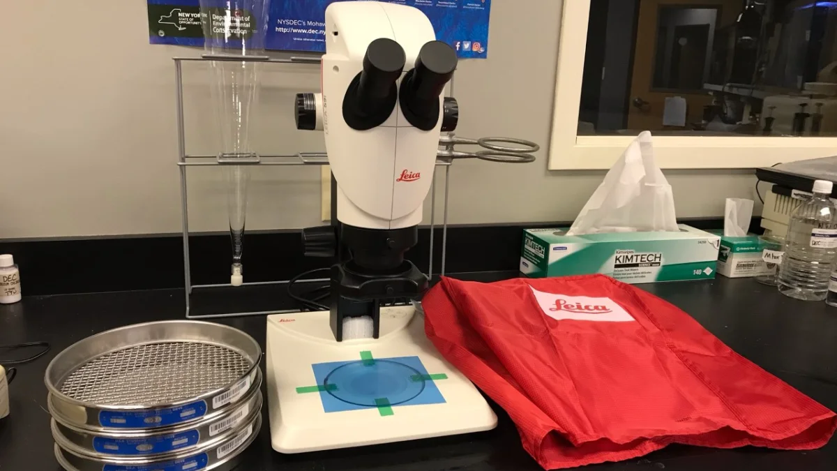 Mikro plastikler suda DNA hasarı yapan serbest radikaller üretiyor