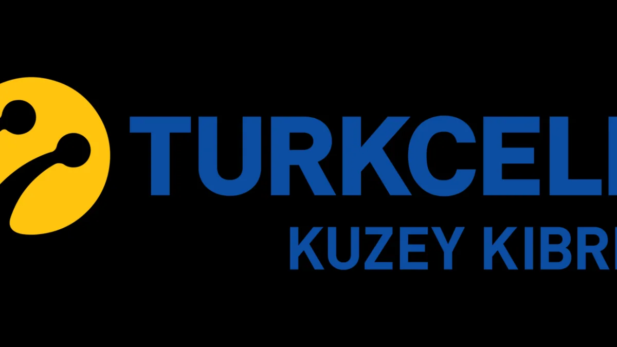 Numara taşıma nasıl yapılır, kaç günde tamamlanır?